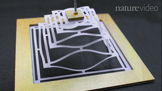  Bằng nghệ thuật cắt giấy Kirigami của Nhật, một tấm graphene 2D có thể chuyển thành cấu trúc 3D như trên. 