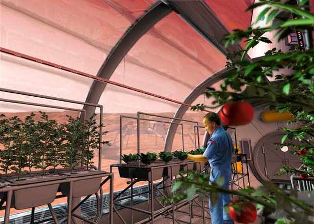  Viễn cảnh về một ngày lương thực có thể được trồng trên sao Hỏa 