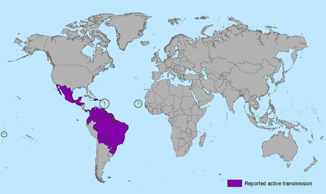  Những nước nhiễm Zika. 