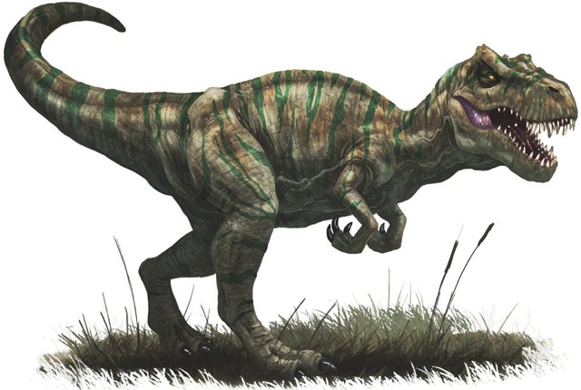 
Loài Allosaurus cuối cùng cũng đã phải cúi gầm trước trí khôn của vị vua mới, loài Tyrannosaurus.
