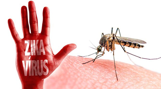  Hạn chế bị muỗi đốt là cách tốt nhất đề phòng tránh Zika 