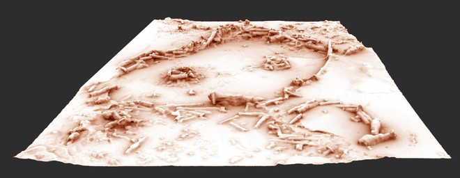 Mô hình 3D của cấu trúc đá trong hang Bruniquel.