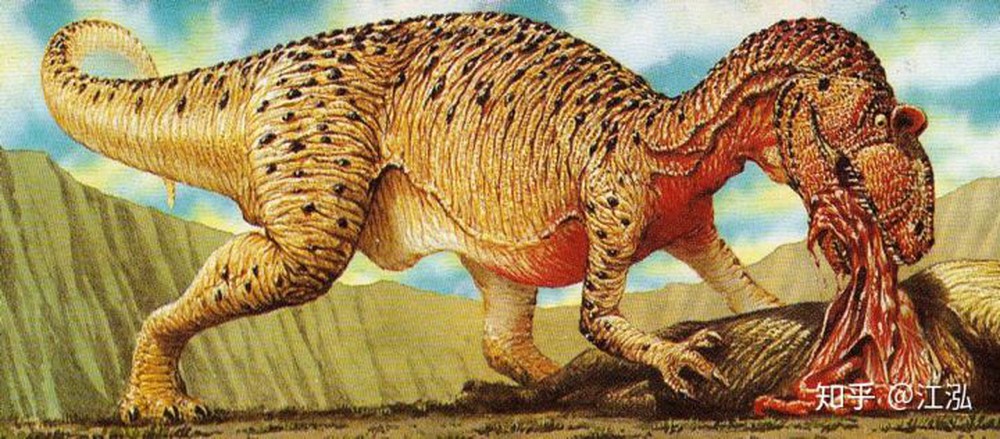 Những mẫu hóa thạch mới tiết lộ loài khủng long Allosaurus không chỉ khát máu mà chúng còn ăn thịt cả đồng loại - Ảnh 10.