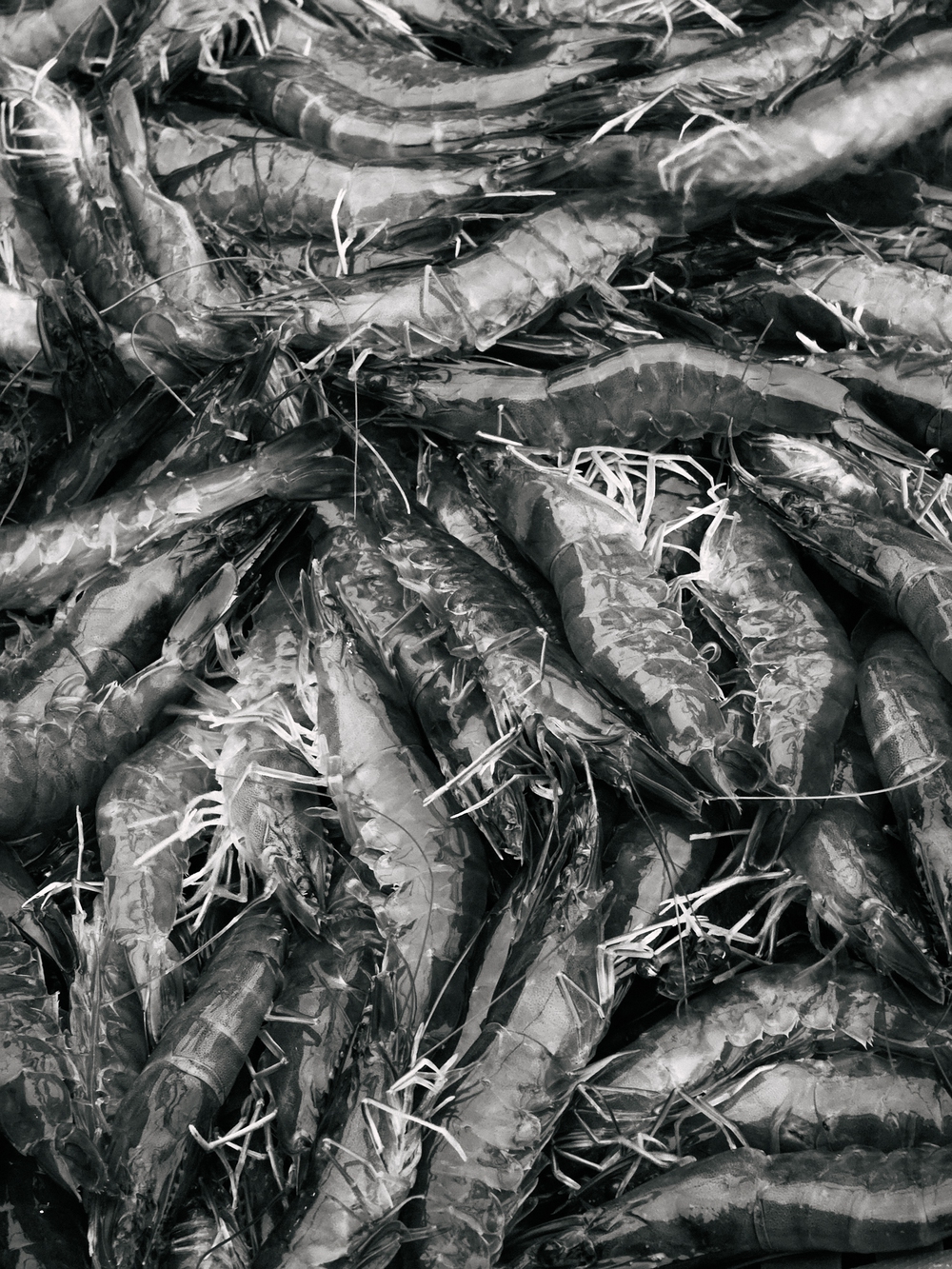 Cùng Galaxy S26 Ultra ngắm Hà Nội mùa 'đỏng đảnh': Ghé chợ sớm Long Biên, thăm dàn hoa giấy khu tập thể để thấy, hóa ra Thủ Đô vẫn 'tình' đến vậy - Ảnh 23.