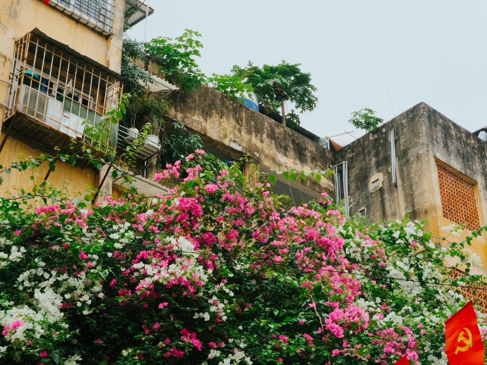 Cùng Galaxy S26 Ultra ngắm Hà Nội mùa 'đỏng đảnh': Ghé chợ sớm Long Biên, thăm dàn hoa giấy khu tập thể để thấy, hóa ra Thủ Đô vẫn 'tình' đến vậy - Ảnh 52.