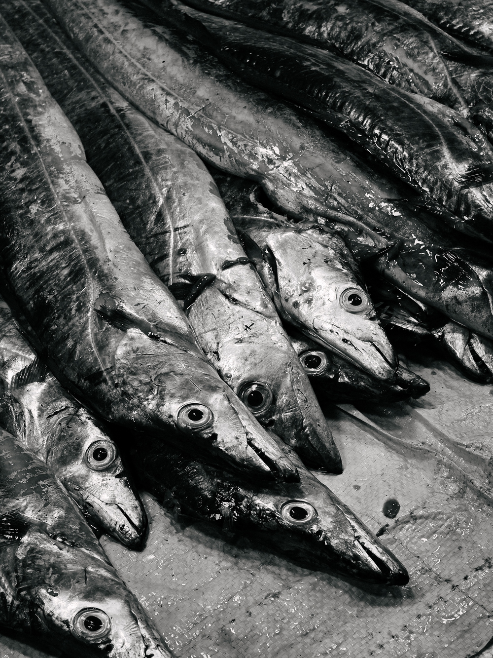 Cùng Galaxy S26 Ultra ngắm Hà Nội mùa 'đỏng đảnh': Ghé chợ sớm Long Biên, thăm dàn hoa giấy khu tập thể để thấy, hóa ra Thủ Đô vẫn 'tình' đến vậy - Ảnh 19.