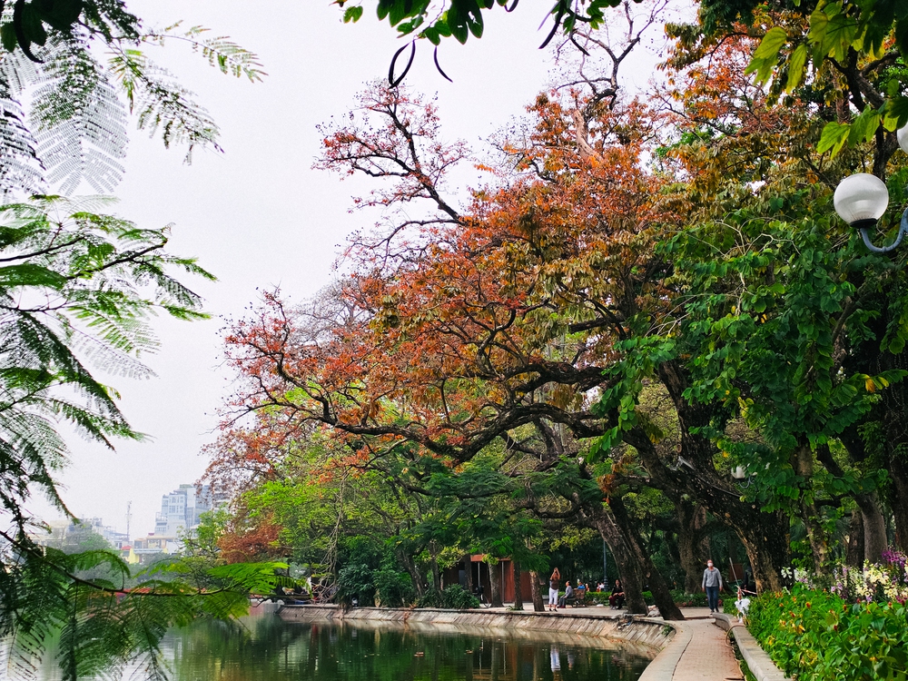 Cùng Galaxy S26 Ultra ngắm Hà Nội mùa 'đỏng đảnh': Ghé chợ sớm Long Biên, thăm dàn hoa giấy khu tập thể để thấy, hóa ra Thủ Đô vẫn 'tình' đến vậy - Ảnh 35.