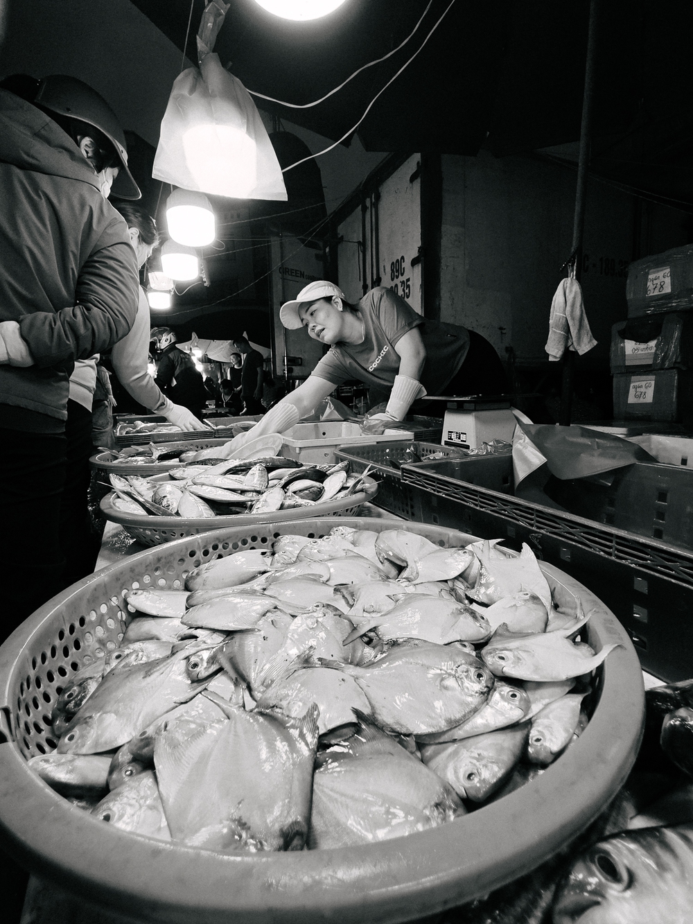 Cùng Galaxy S26 Ultra ngắm Hà Nội mùa 'đỏng đảnh': Ghé chợ sớm Long Biên, thăm dàn hoa giấy khu tập thể để thấy, hóa ra Thủ Đô vẫn 'tình' đến vậy - Ảnh 15.