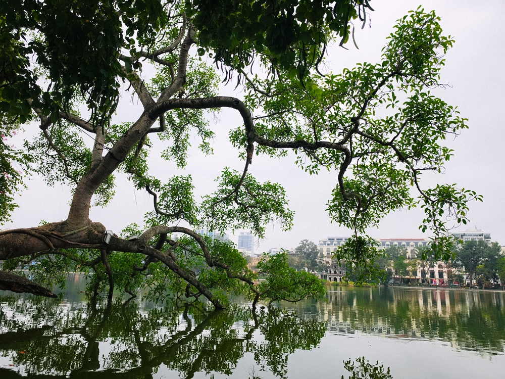 Cùng Galaxy S26 Ultra ngắm Hà Nội mùa 'đỏng đảnh': Ghé chợ sớm Long Biên, thăm dàn hoa giấy khu tập thể để thấy, hóa ra Thủ Đô vẫn 'tình' đến vậy - Ảnh 36.