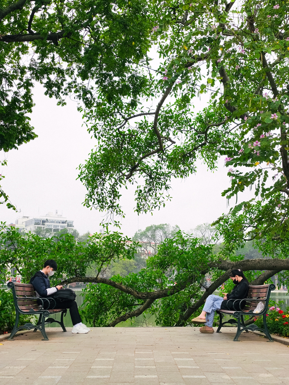 Cùng Galaxy S26 Ultra ngắm Hà Nội mùa 'đỏng đảnh': Ghé chợ sớm Long Biên, thăm dàn hoa giấy khu tập thể để thấy, hóa ra Thủ Đô vẫn 'tình' đến vậy - Ảnh 43.