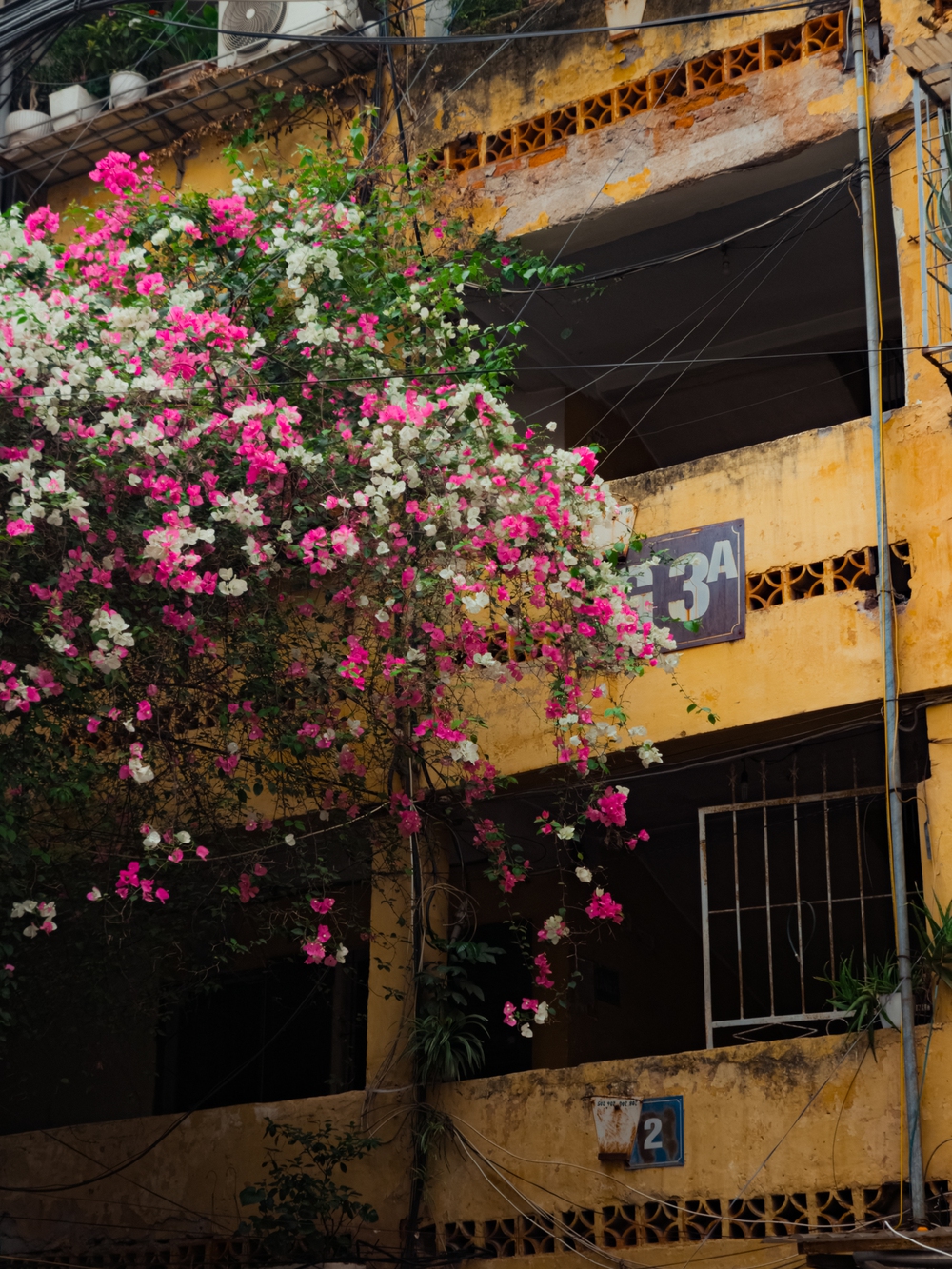 Cùng Galaxy S26 Ultra ngắm Hà Nội mùa 'đỏng đảnh': Ghé chợ sớm Long Biên, thăm dàn hoa giấy khu tập thể để thấy, hóa ra Thủ Đô vẫn 'tình' đến vậy - Ảnh 54.