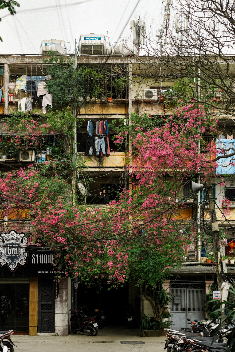 Cùng Galaxy S26 Ultra ngắm Hà Nội mùa 'đỏng đảnh': Ghé chợ sớm Long Biên, thăm dàn hoa giấy khu tập thể để thấy, hóa ra Thủ Đô vẫn 'tình' đến vậy - Ảnh 60.