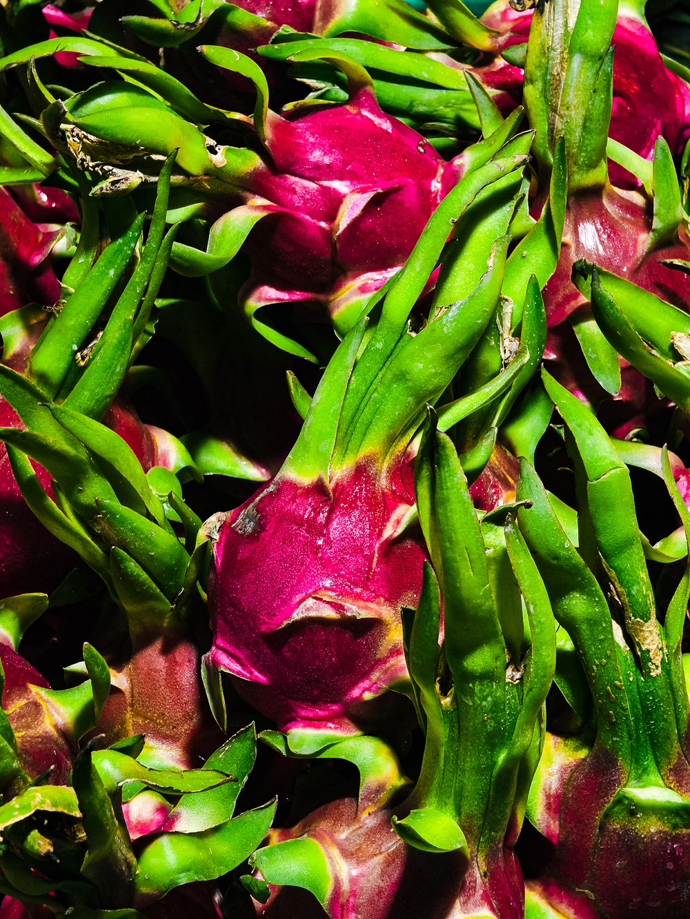 Cùng Galaxy S26 Ultra ngắm Hà Nội mùa 'đỏng đảnh': Ghé chợ sớm Long Biên, thăm dàn hoa giấy khu tập thể để thấy, hóa ra Thủ Đô vẫn 'tình' đến vậy - Ảnh 32.