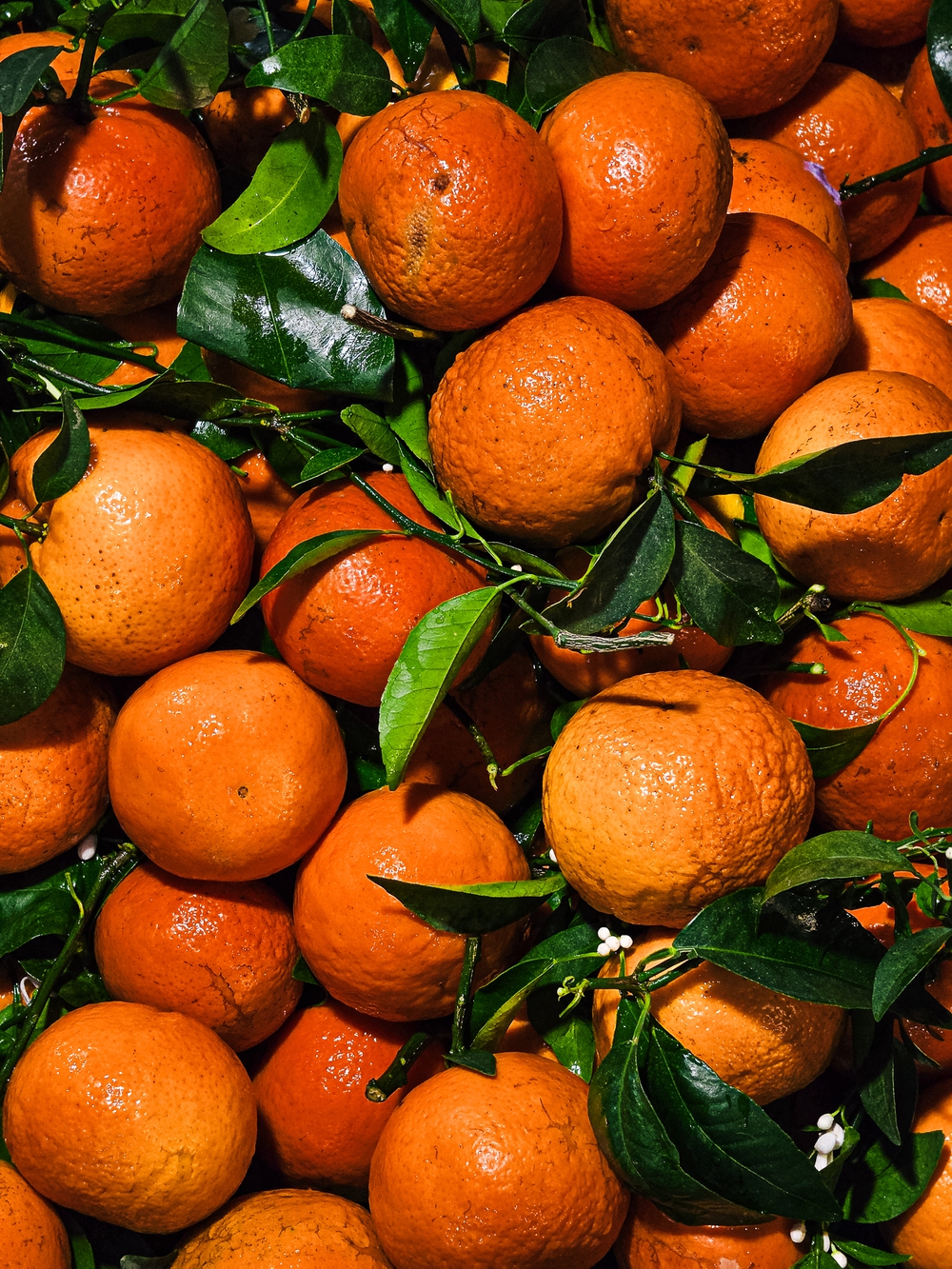 Cùng Galaxy S26 Ultra ngắm Hà Nội mùa 'đỏng đảnh': Ghé chợ sớm Long Biên, thăm dàn hoa giấy khu tập thể để thấy, hóa ra Thủ Đô vẫn 'tình' đến vậy - Ảnh 29.