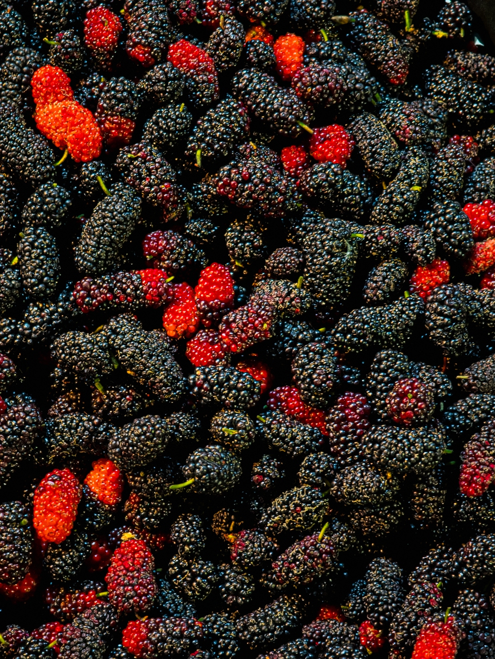 Cùng Galaxy S26 Ultra ngắm Hà Nội mùa 'đỏng đảnh': Ghé chợ sớm Long Biên, thăm dàn hoa giấy khu tập thể để thấy, hóa ra Thủ Đô vẫn 'tình' đến vậy - Ảnh 33.