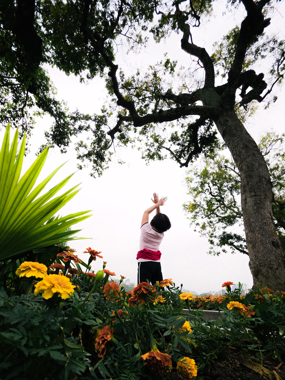 Cùng Galaxy S26 Ultra ngắm Hà Nội mùa 'đỏng đảnh': Ghé chợ sớm Long Biên, thăm dàn hoa giấy khu tập thể để thấy, hóa ra Thủ Đô vẫn 'tình' đến vậy - Ảnh 40.