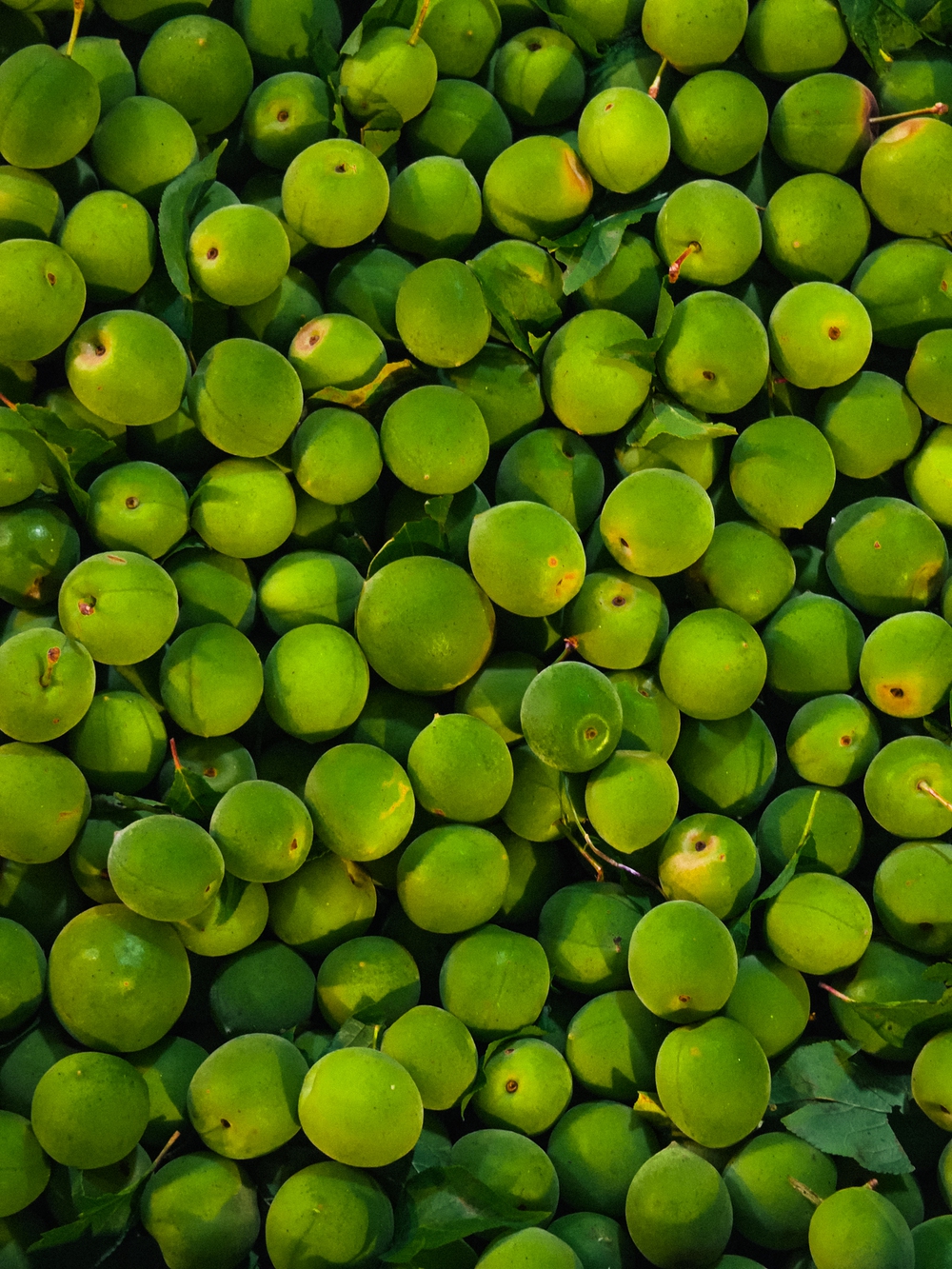 Cùng Galaxy S26 Ultra ngắm Hà Nội mùa 'đỏng đảnh': Ghé chợ sớm Long Biên, thăm dàn hoa giấy khu tập thể để thấy, hóa ra Thủ Đô vẫn 'tình' đến vậy - Ảnh 31.