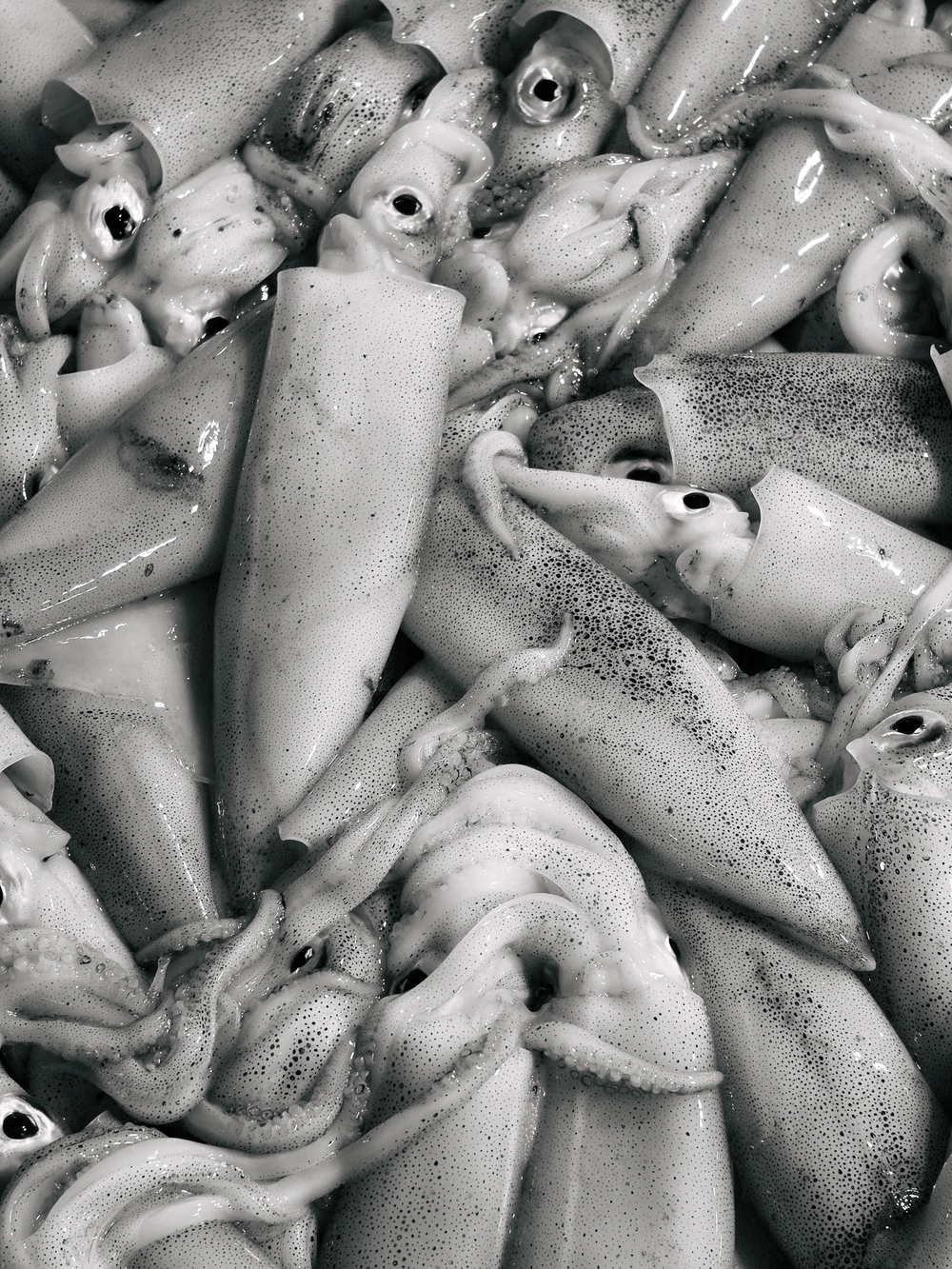 Cùng Galaxy S26 Ultra ngắm Hà Nội mùa 'đỏng đảnh': Ghé chợ sớm Long Biên, thăm dàn hoa giấy khu tập thể để thấy, hóa ra Thủ Đô vẫn 'tình' đến vậy - Ảnh 22.