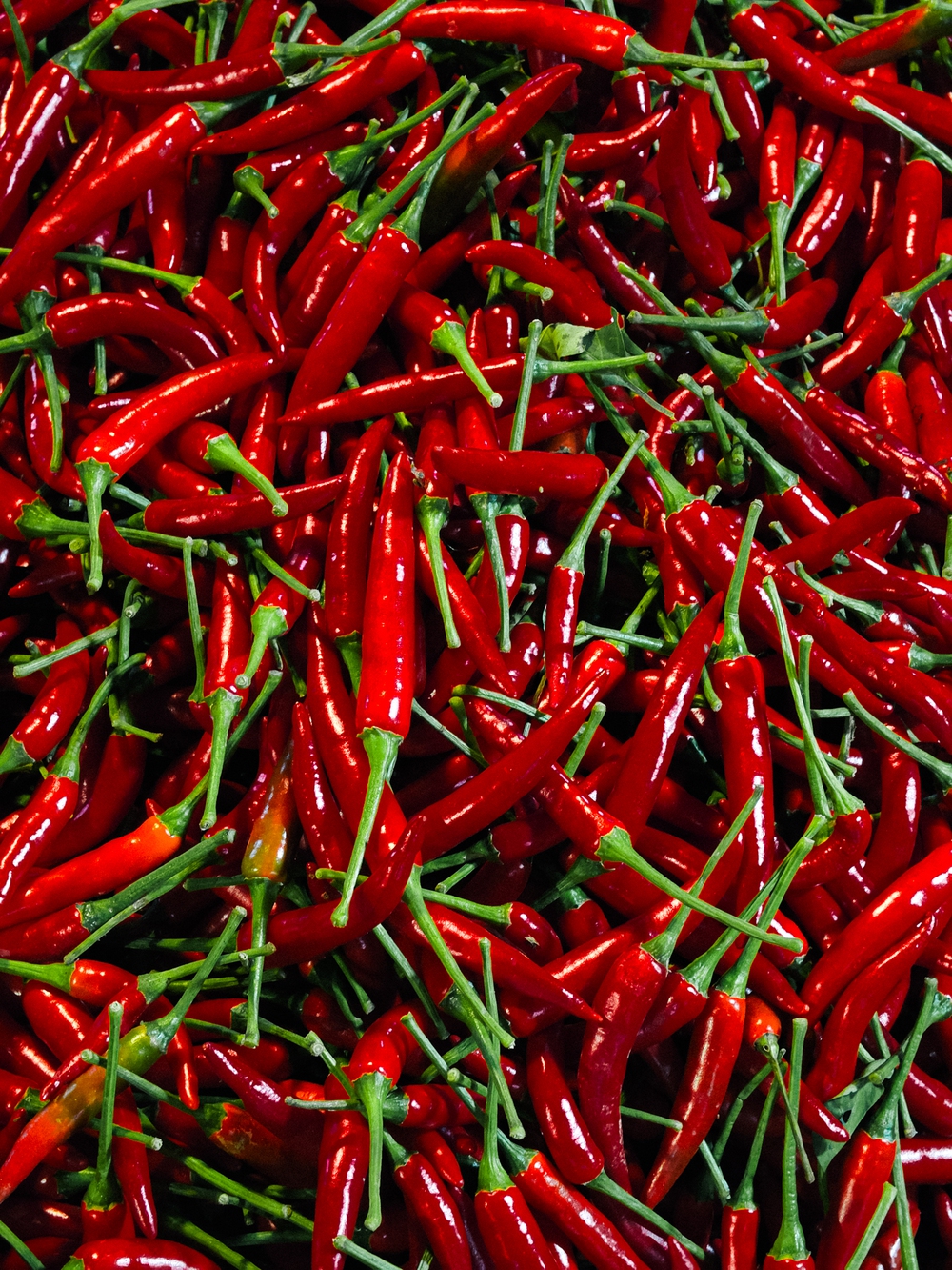 Cùng Galaxy S26 Ultra ngắm Hà Nội mùa 'đỏng đảnh': Ghé chợ sớm Long Biên, thăm dàn hoa giấy khu tập thể để thấy, hóa ra Thủ Đô vẫn 'tình' đến vậy - Ảnh 28.