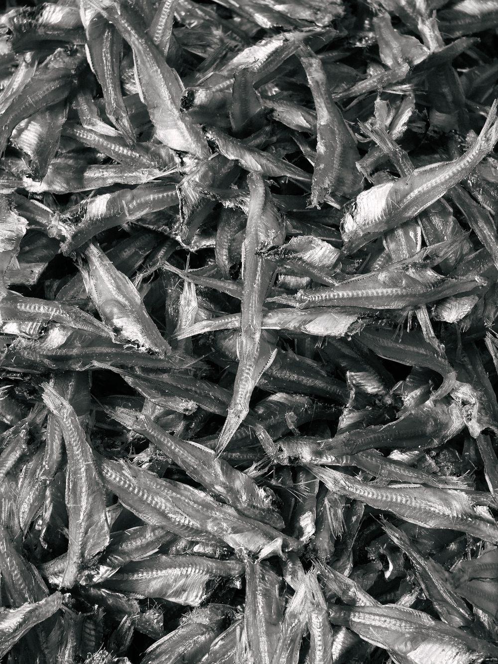 Cùng Galaxy S26 Ultra ngắm Hà Nội mùa 'đỏng đảnh': Ghé chợ sớm Long Biên, thăm dàn hoa giấy khu tập thể để thấy, hóa ra Thủ Đô vẫn 'tình' đến vậy - Ảnh 20.