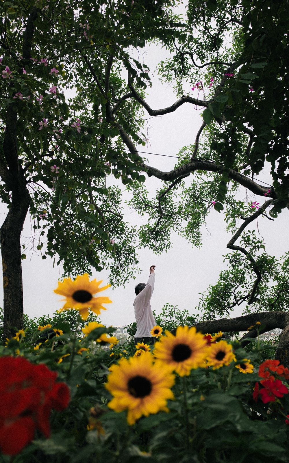 Cùng Galaxy S26 Ultra ngắm Hà Nội mùa 'đỏng đảnh': Ghé chợ sớm Long Biên, thăm dàn hoa giấy khu tập thể để thấy, hóa ra Thủ Đô vẫn 'tình' đến vậy - Ảnh 38.