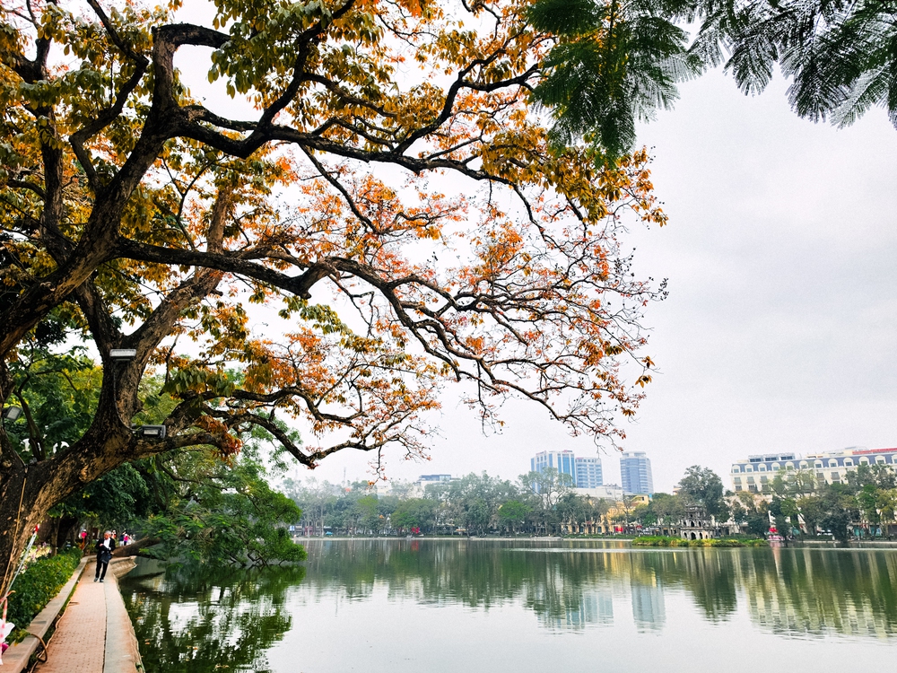 Cùng Galaxy S26 Ultra ngắm Hà Nội mùa 'đỏng đảnh': Ghé chợ sớm Long Biên, thăm dàn hoa giấy khu tập thể để thấy, hóa ra Thủ Đô vẫn 'tình' đến vậy - Ảnh 34.