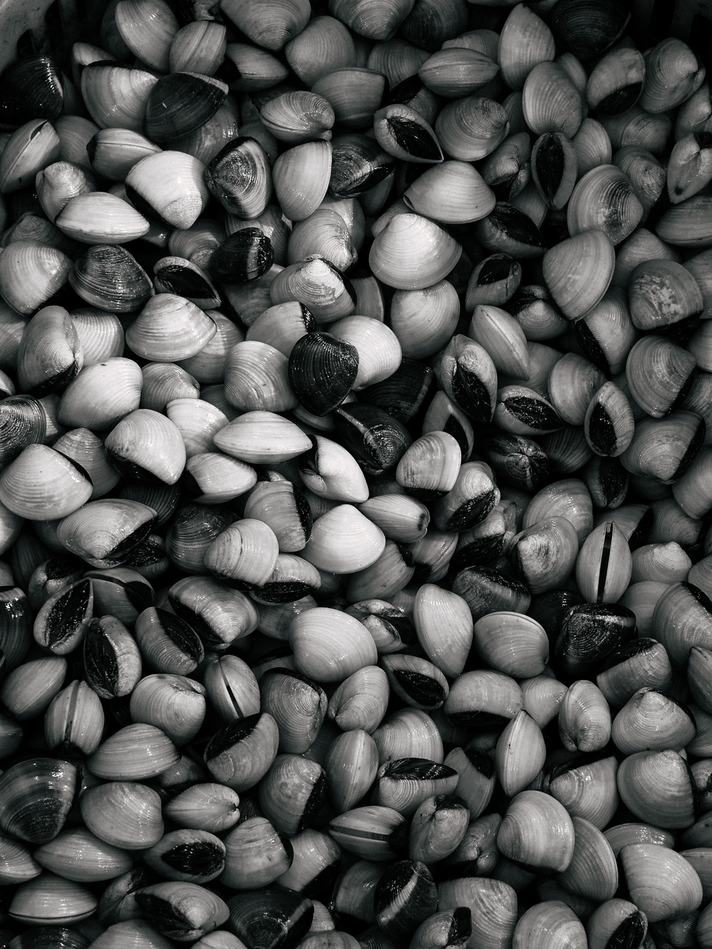 Cùng Galaxy S26 Ultra ngắm Hà Nội mùa 'đỏng đảnh': Ghé chợ sớm Long Biên, thăm dàn hoa giấy khu tập thể để thấy, hóa ra Thủ Đô vẫn 'tình' đến vậy - Ảnh 27.