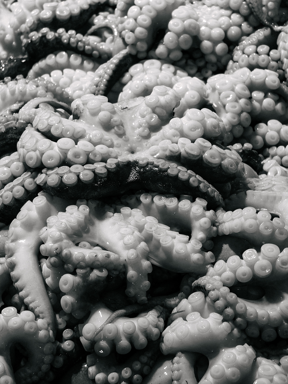 Cùng Galaxy S26 Ultra ngắm Hà Nội mùa 'đỏng đảnh': Ghé chợ sớm Long Biên, thăm dàn hoa giấy khu tập thể để thấy, hóa ra Thủ Đô vẫn 'tình' đến vậy - Ảnh 25.