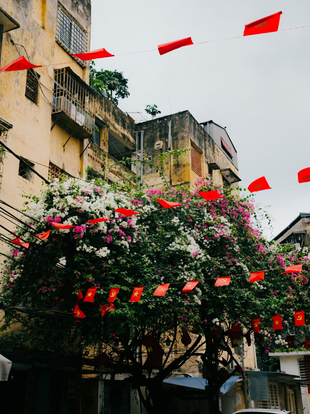 Cùng Galaxy S26 Ultra ngắm Hà Nội mùa 'đỏng đảnh': Ghé chợ sớm Long Biên, thăm dàn hoa giấy khu tập thể để thấy, hóa ra Thủ Đô vẫn 'tình' đến vậy - Ảnh 56.