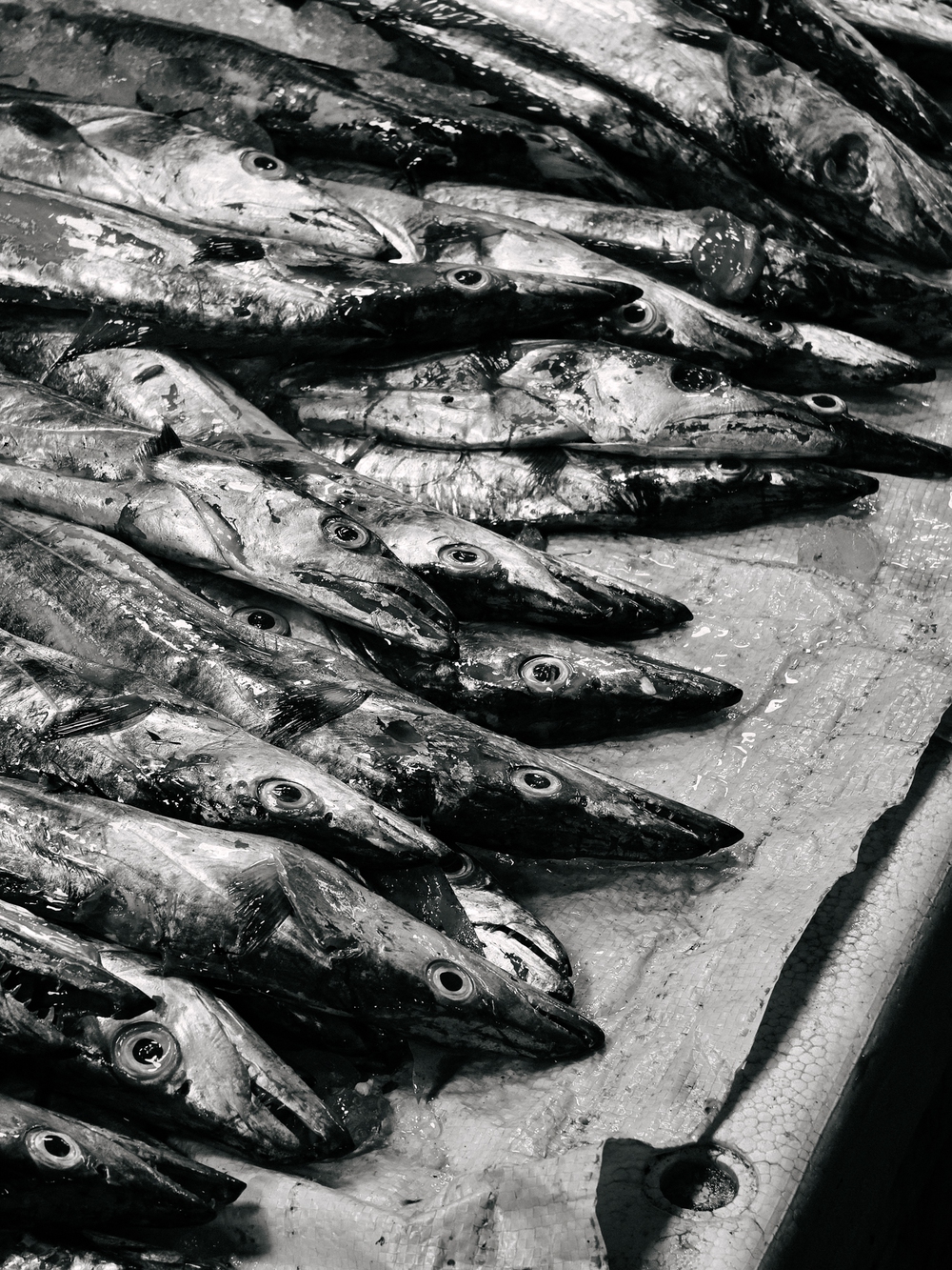 Cùng Galaxy S26 Ultra ngắm Hà Nội mùa 'đỏng đảnh': Ghé chợ sớm Long Biên, thăm dàn hoa giấy khu tập thể để thấy, hóa ra Thủ Đô vẫn 'tình' đến vậy - Ảnh 21.