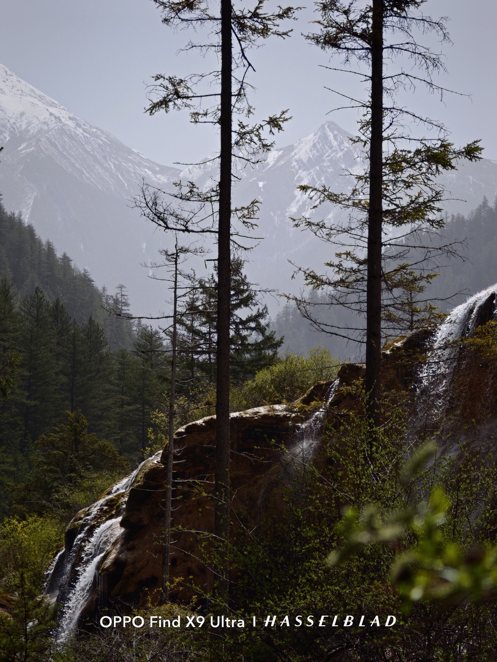 Đến Th&agrave;nh Đ&ocirc; ngắm gấu tr&uacute;c, l&ecirc;n Cửu Trại C&acirc;u chạm v&agrave;o "Thi&ecirc;n Đường Hạ Giới" - Ảnh 55.