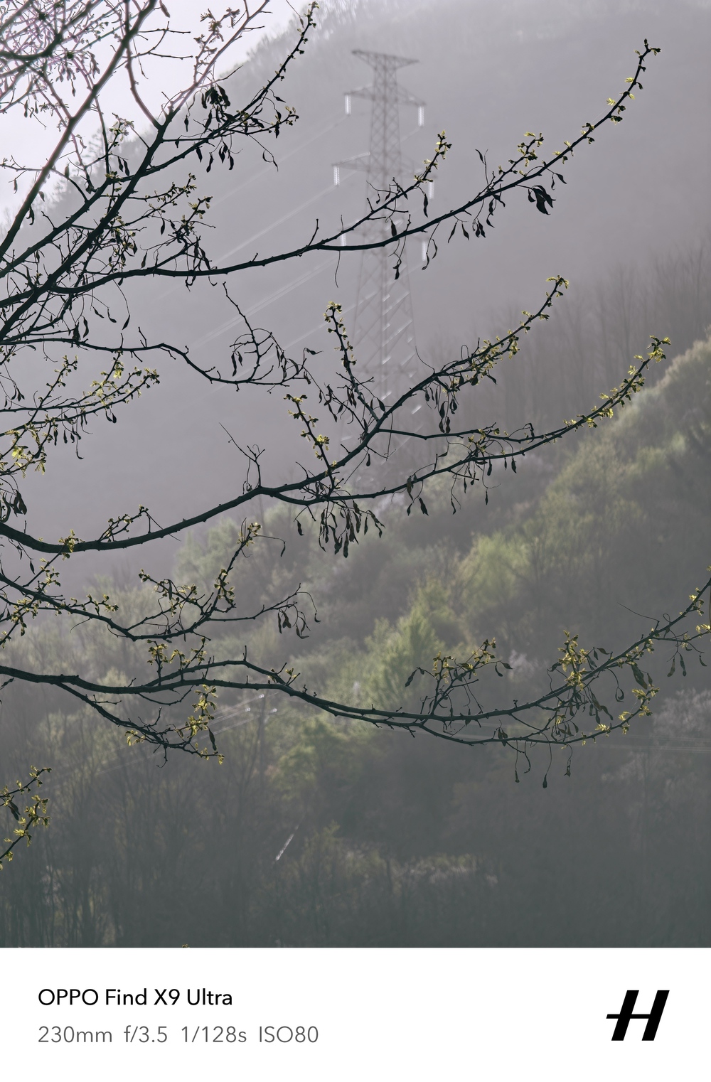 Đến Th&agrave;nh Đ&ocirc; ngắm gấu tr&uacute;c, l&ecirc;n Cửu Trại C&acirc;u chạm v&agrave;o "Thi&ecirc;n Đường Hạ Giới" - Ảnh 57.