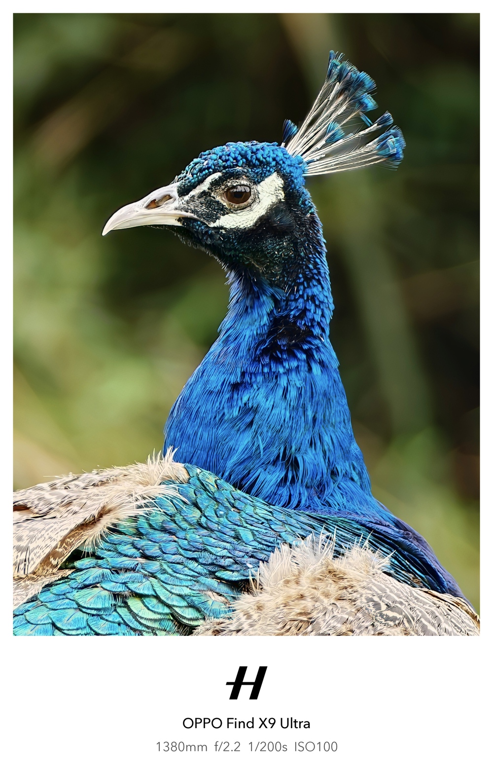 Đến Th&agrave;nh Đ&ocirc; ngắm gấu tr&uacute;c, l&ecirc;n Cửu Trại C&acirc;u chạm v&agrave;o "Thi&ecirc;n Đường Hạ Giới" - Ảnh 58.