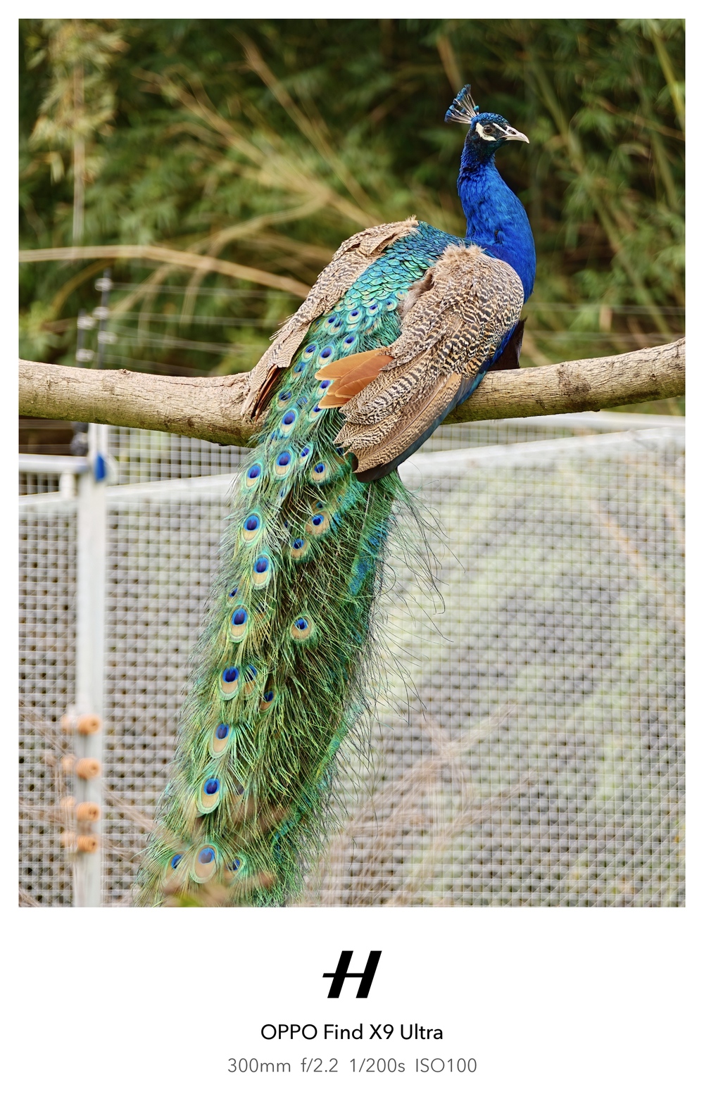 Đến Th&agrave;nh Đ&ocirc; ngắm gấu tr&uacute;c, l&ecirc;n Cửu Trại C&acirc;u chạm v&agrave;o "Thi&ecirc;n Đường Hạ Giới" - Ảnh 60.