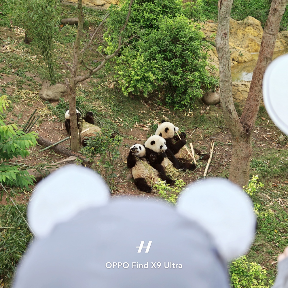 Đến Th&agrave;nh Đ&ocirc; ngắm gấu tr&uacute;c, l&ecirc;n Cửu Trại C&acirc;u chạm v&agrave;o "Thi&ecirc;n Đường Hạ Giới" - Ảnh 28.