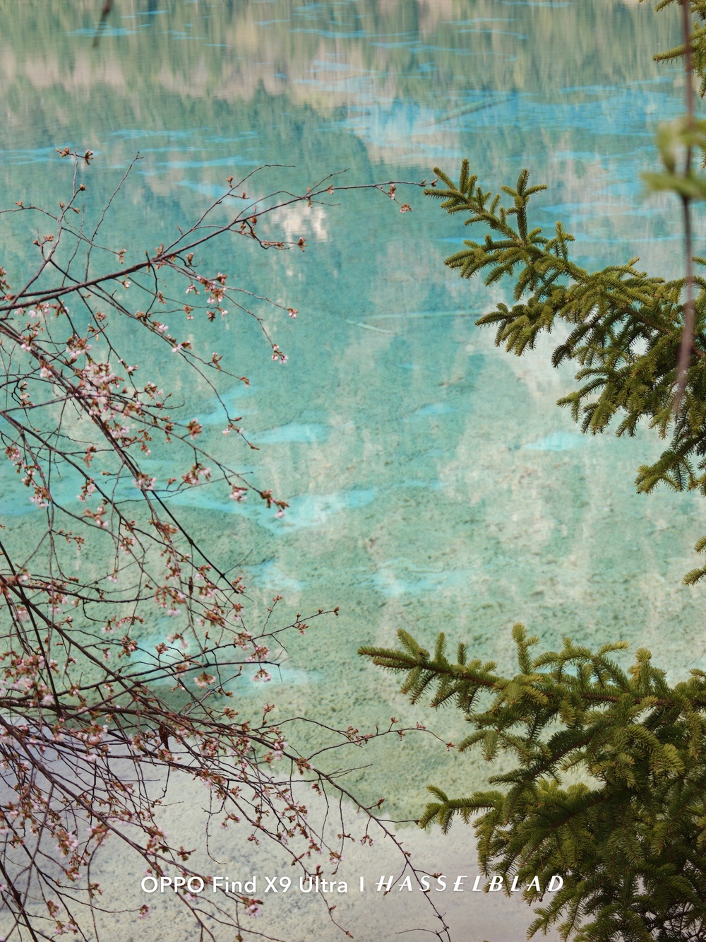 Đến Th&agrave;nh Đ&ocirc; ngắm gấu tr&uacute;c, l&ecirc;n Cửu Trại C&acirc;u chạm v&agrave;o "Thi&ecirc;n Đường Hạ Giới" - Ảnh 51.