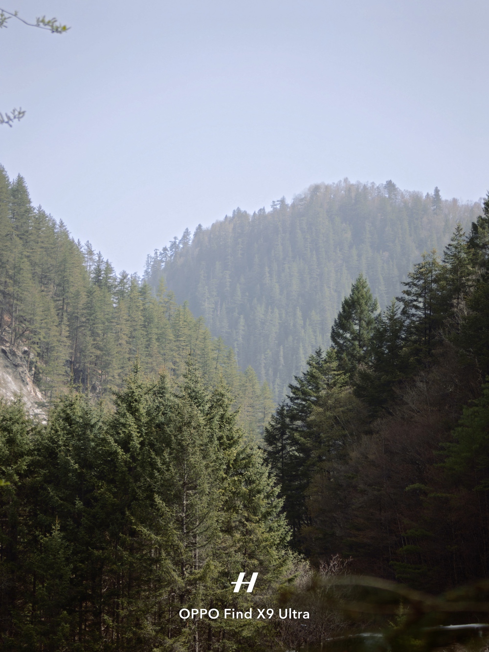 Đến Th&agrave;nh Đ&ocirc; ngắm gấu tr&uacute;c, l&ecirc;n Cửu Trại C&acirc;u chạm v&agrave;o "Thi&ecirc;n Đường Hạ Giới" - Ảnh 54.