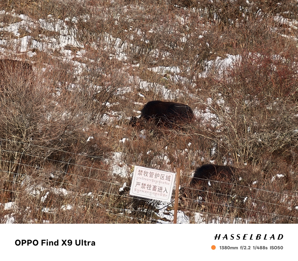 Đến Th&agrave;nh Đ&ocirc; ngắm gấu tr&uacute;c, l&ecirc;n Cửu Trại C&acirc;u chạm v&agrave;o "Thi&ecirc;n Đường Hạ Giới" - Ảnh 37.