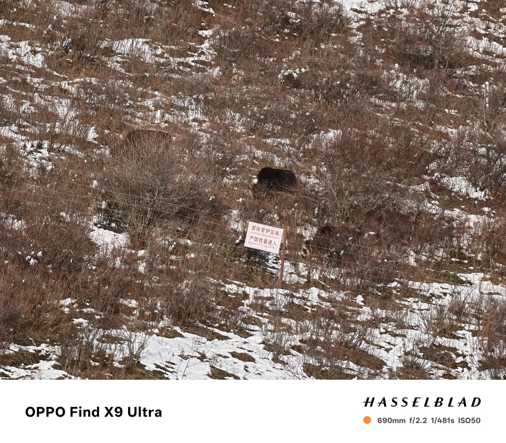 Đến Th&agrave;nh Đ&ocirc; ngắm gấu tr&uacute;c, l&ecirc;n Cửu Trại C&acirc;u chạm v&agrave;o "Thi&ecirc;n Đường Hạ Giới" - Ảnh 36.