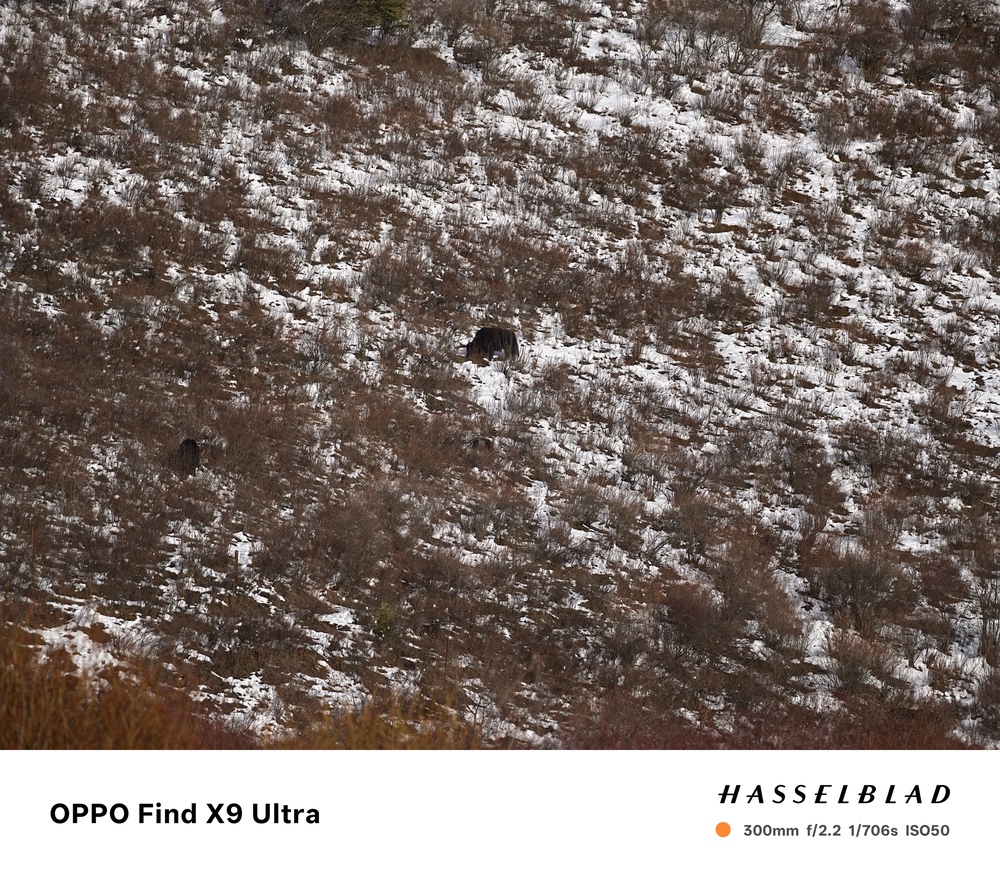 Đến Th&agrave;nh Đ&ocirc; ngắm gấu tr&uacute;c, l&ecirc;n Cửu Trại C&acirc;u chạm v&agrave;o "Thi&ecirc;n Đường Hạ Giới" - Ảnh 35.