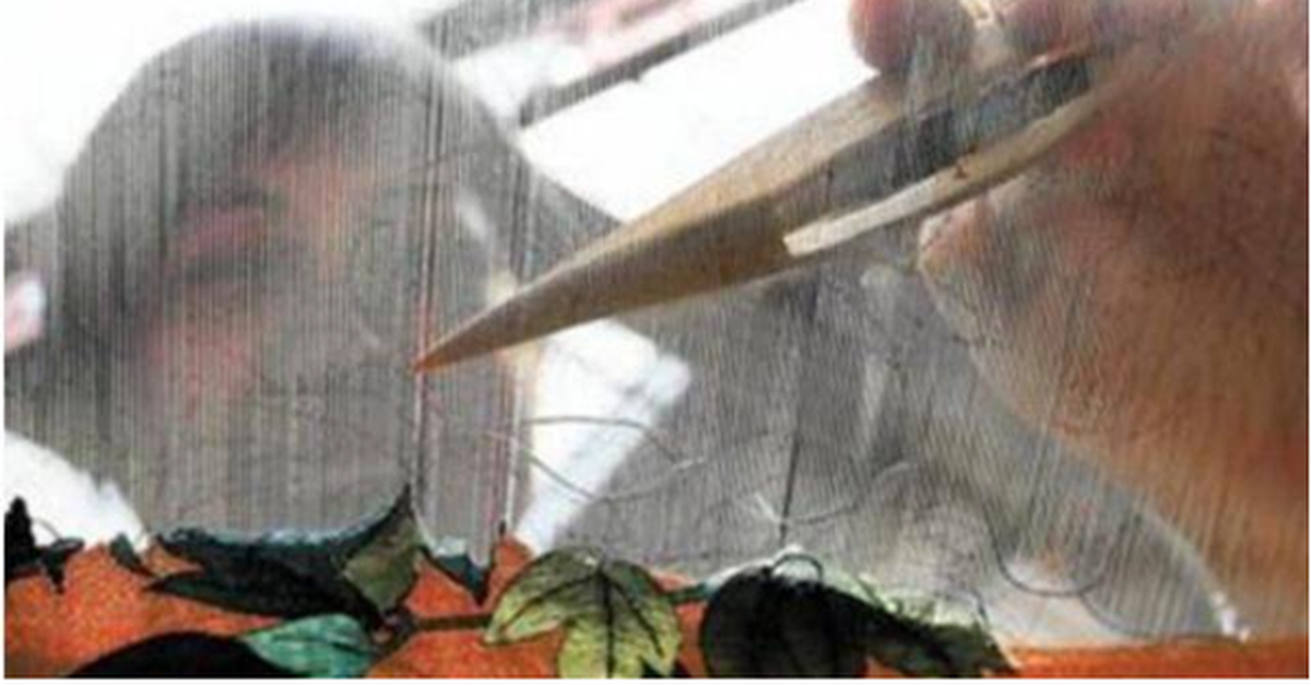 Bỏ 300 nghìn đồng mua 'đống giẻ rách', chuyên gia sốc nặng khi biết giá ...