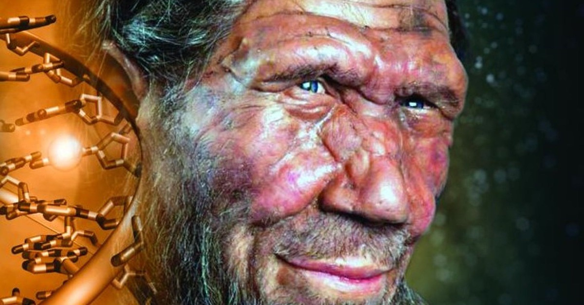 Bí mật giải mã 'gương mặt thô ráp' của người Neanderthal: Tất cả nằm ...