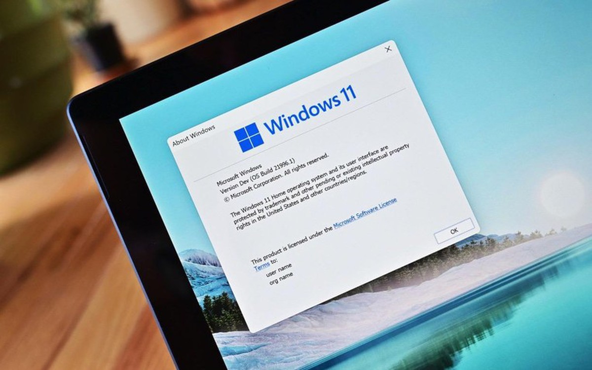 Chỉ đẹp trong ký ức? Windows XP không phải số 1 trong bảng xếp hạng ...