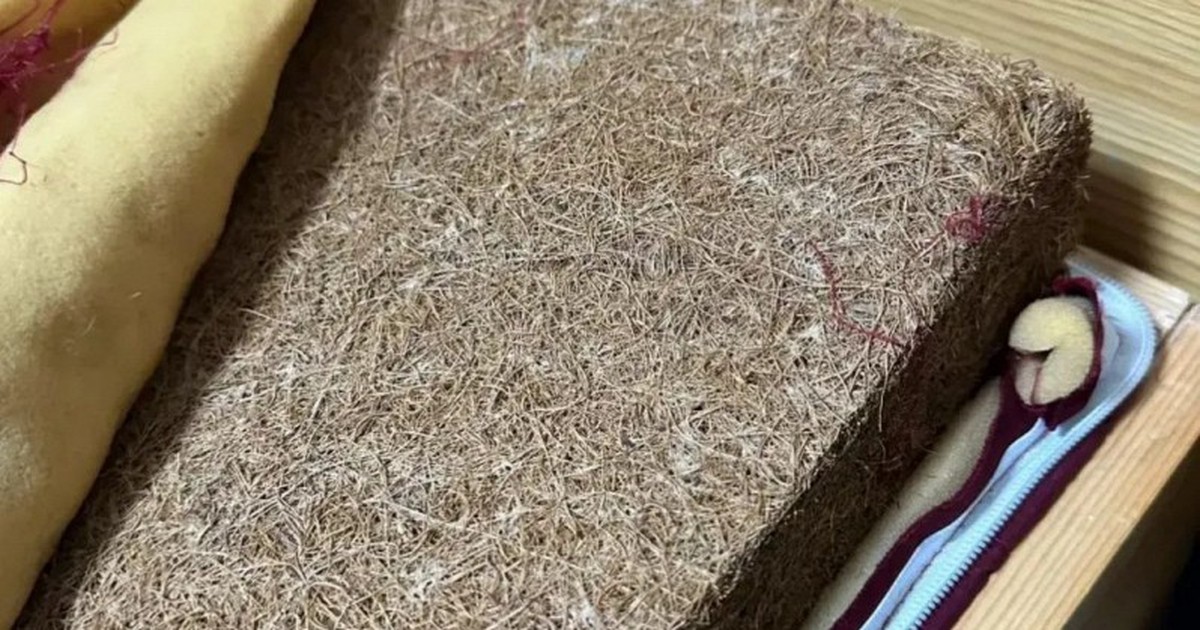 5 thứ trong nhà dễ là ổ phát tán Formaldehyde, hít mỗi ngày mà cứ tưởng vô hại