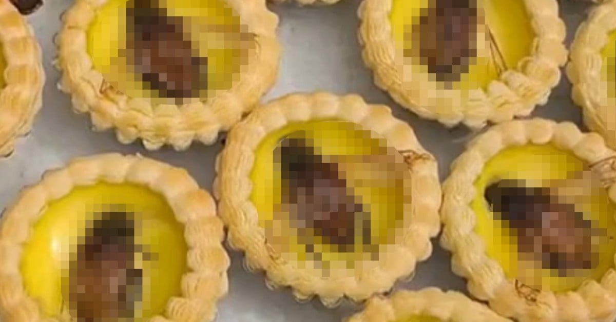 Bánh tart trứng phủ bọ nước giống gián khổng lồ gây tranh cãi tại Trung Quốc