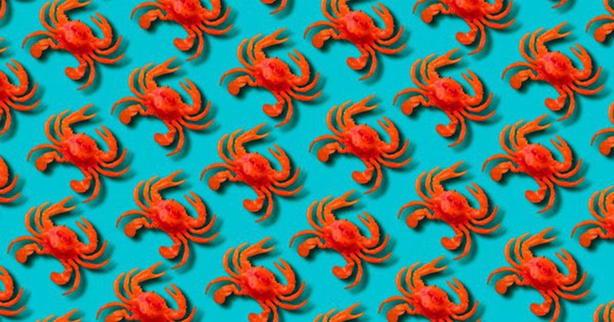 Meta thâu tóm Moltbook, mạng xã hội AI từng gây xôn xao vì lo ngại bảo mật