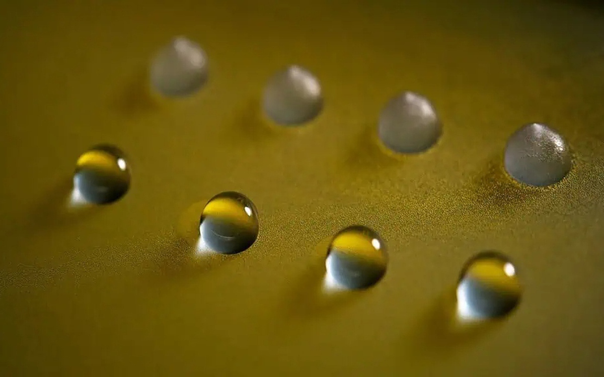 Phát hiện protein nấm có thể đóng băng nước ở nhiệt độ cao mở ra khả năng điều khiển thời tiết trong tương lai