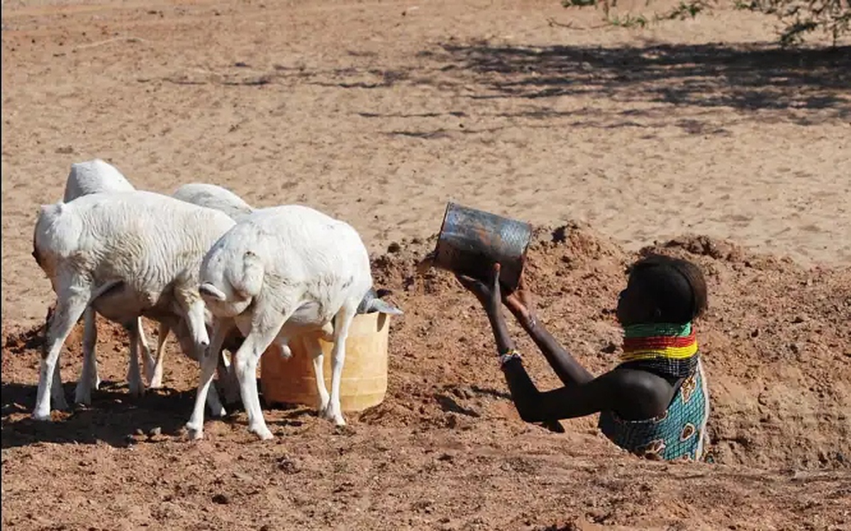 Bí mật tiến hóa giúp bộ tộc Kenya sống sót gần như không cần nước nhưng lại trở thành nguy cơ chết người hiện đại