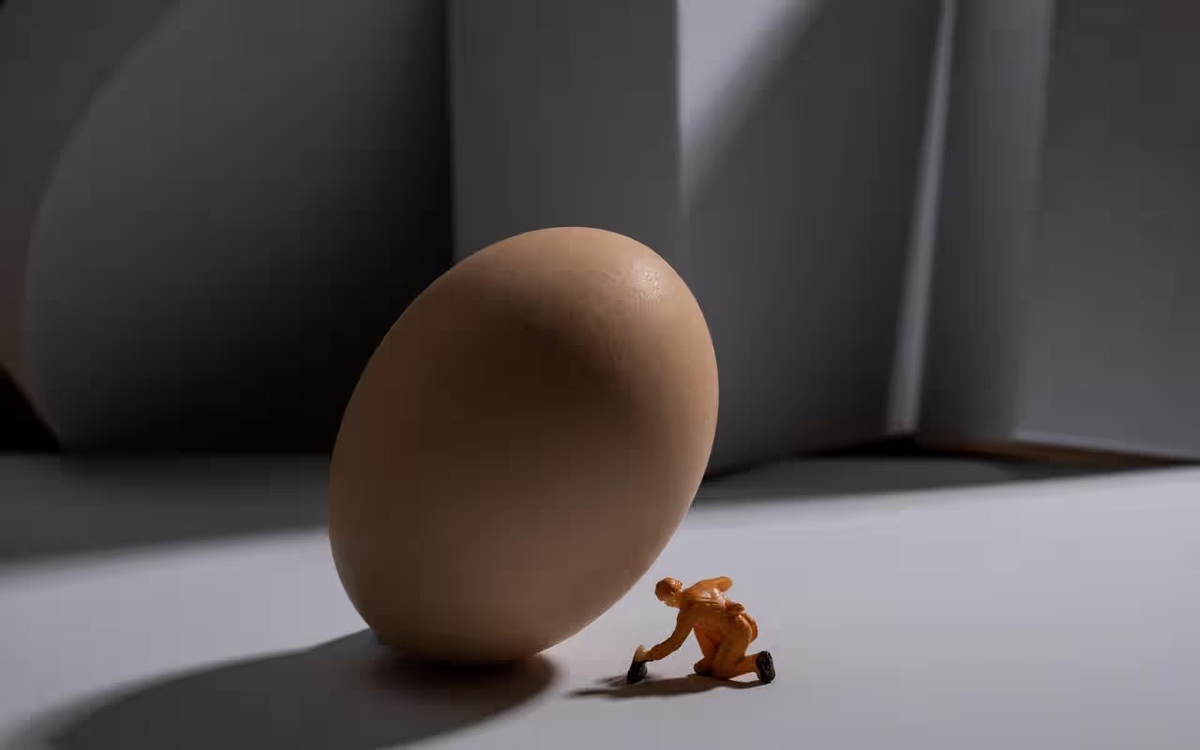 Nếu con người đẻ trứng thay vì mang thai, xã hội sẽ đảo lộn ra sao?