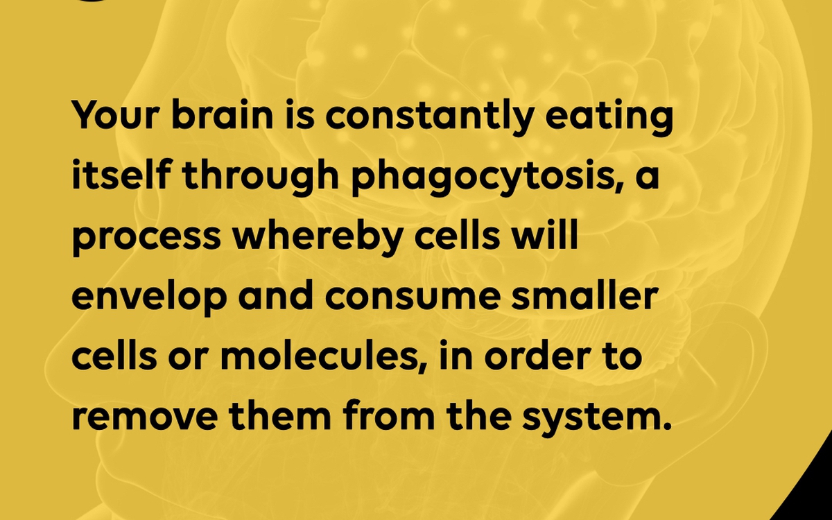 “Não của bạn đang liên tục ăn chính nó”: Fact này đúng, nhưng đúng đến đâu?
